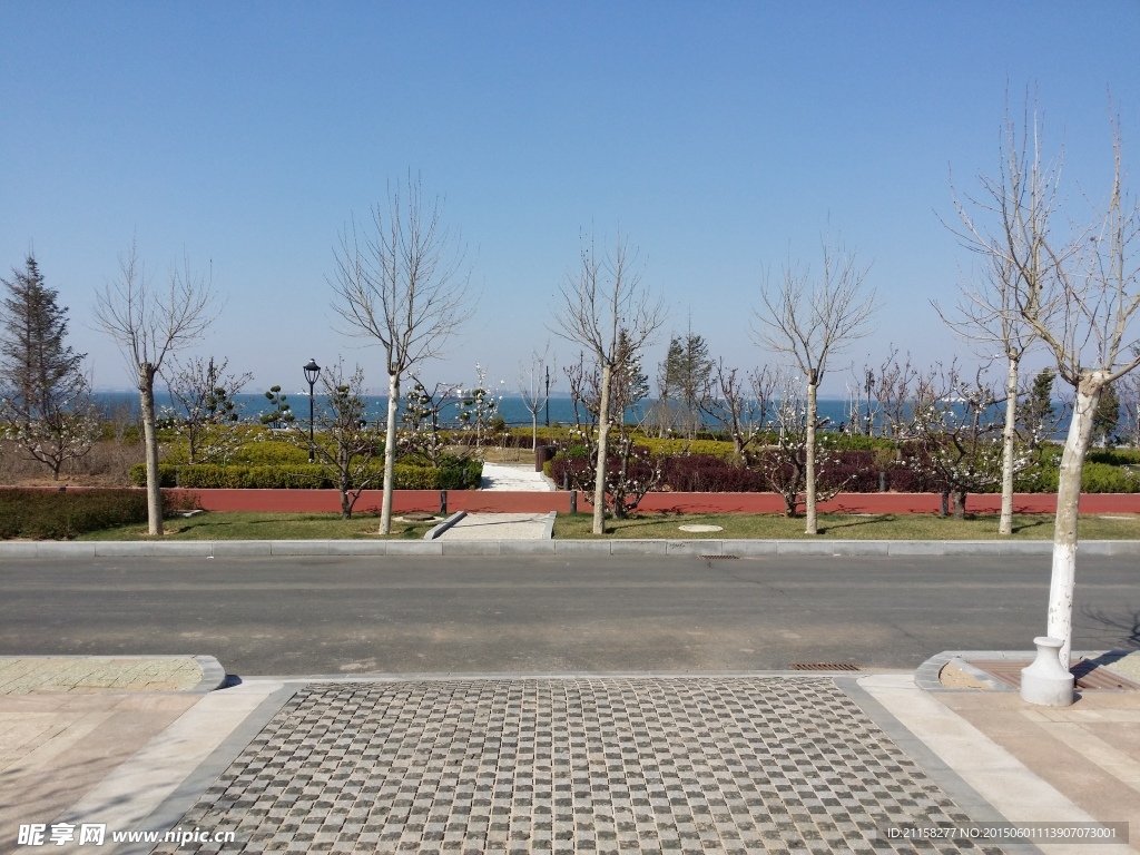 海邊園藝