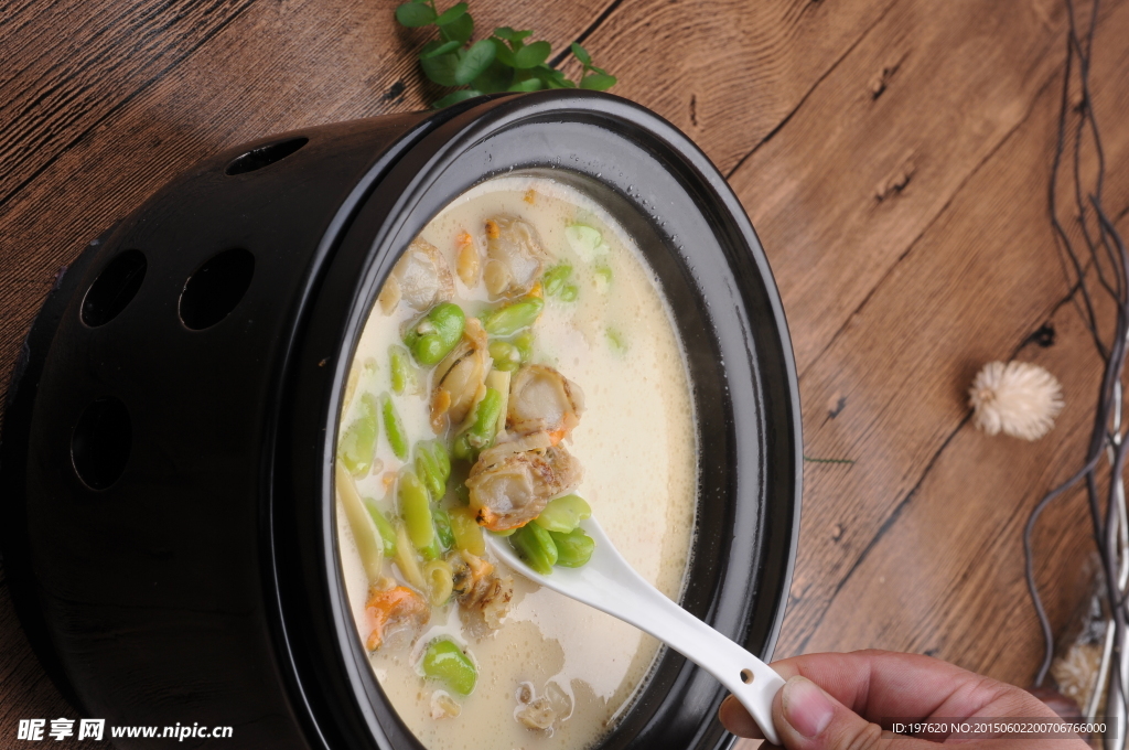 鮮豆瓣毛貝