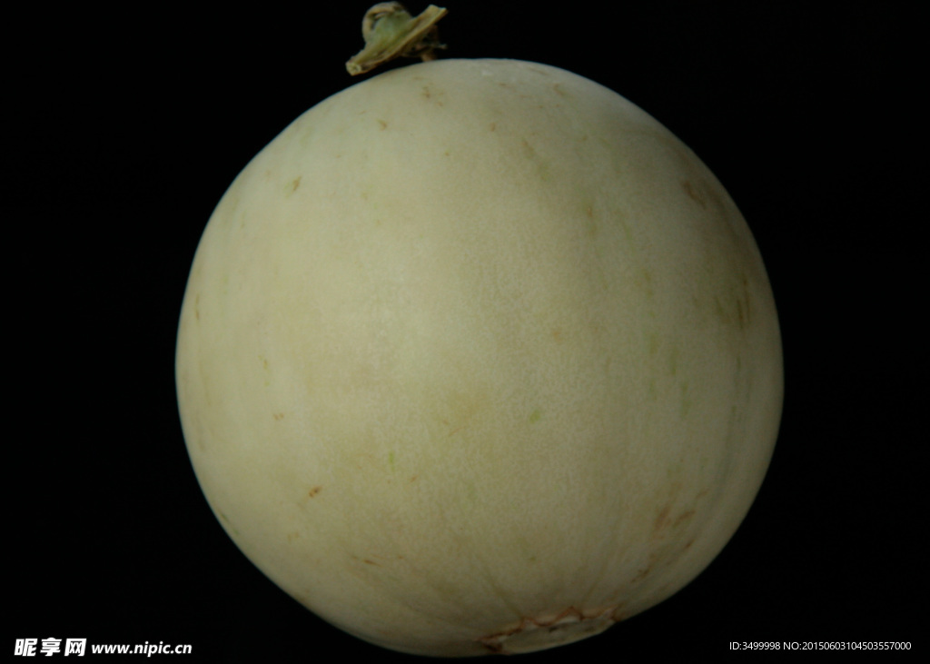 甜瓜（黑底）
