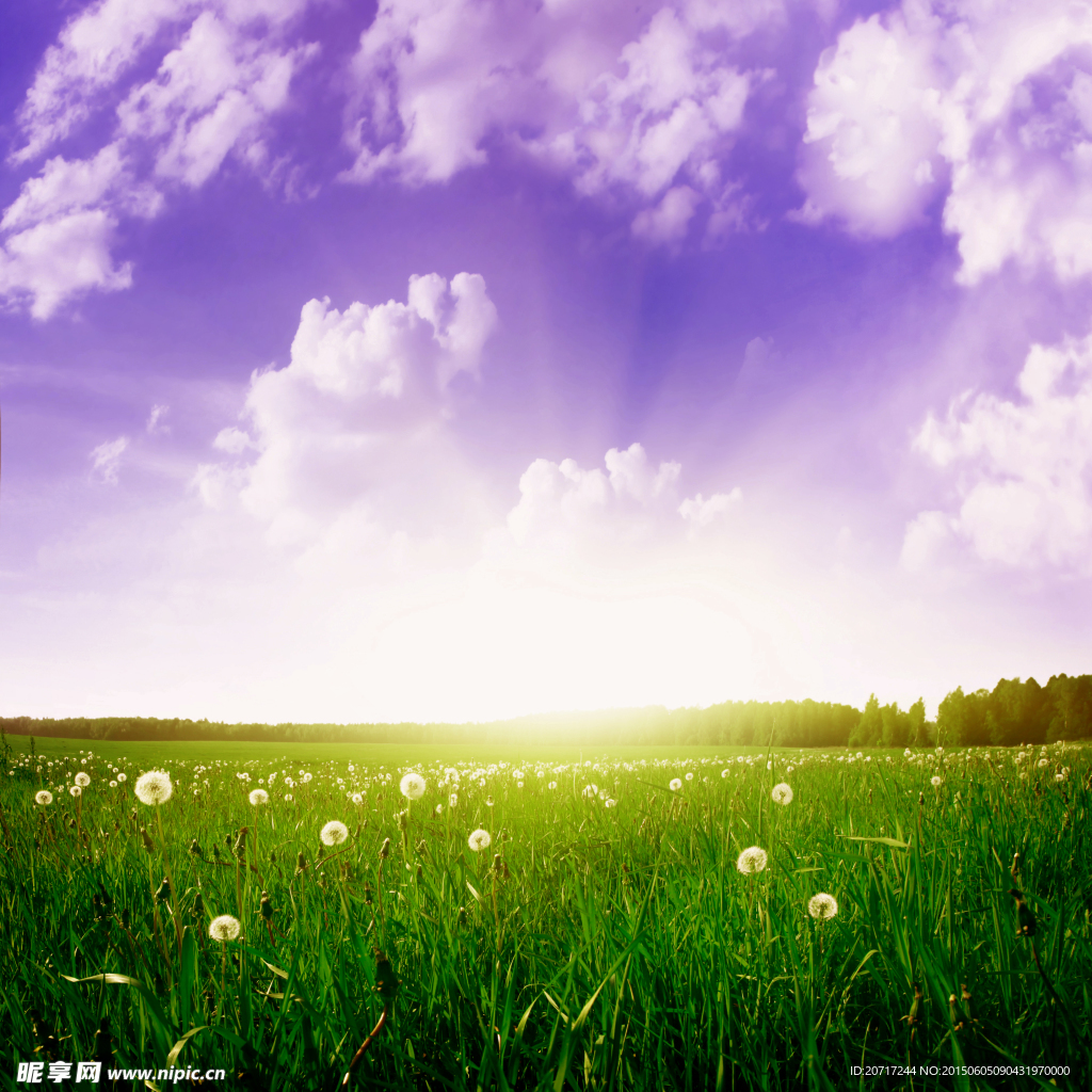 草原夕陽