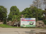 公园风景   石象