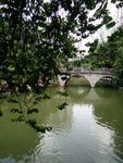 小桥绿水