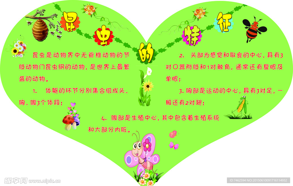 昆蟲的特征