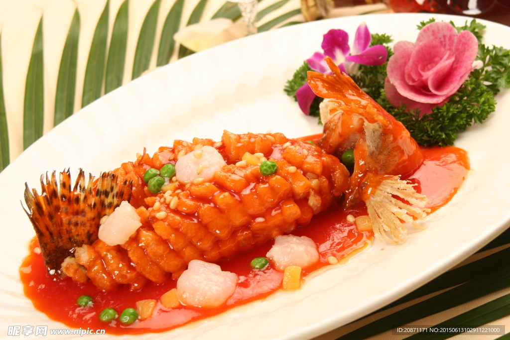 松鼠桂魚(yú)