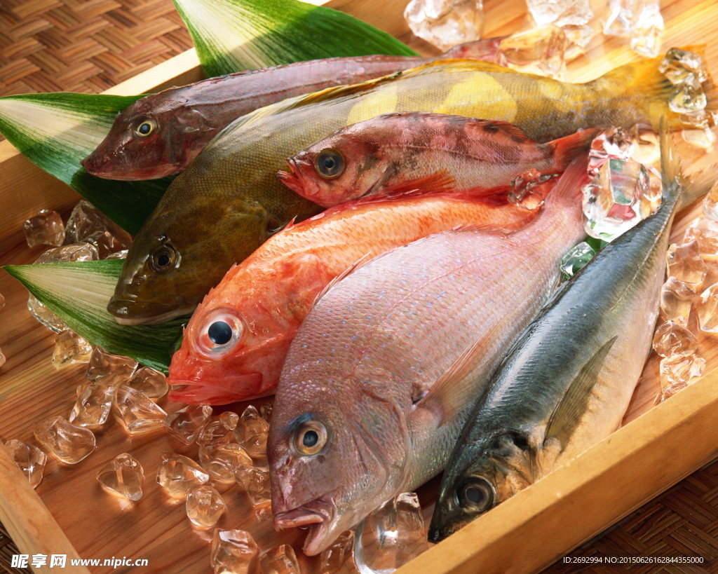 冰凍魚