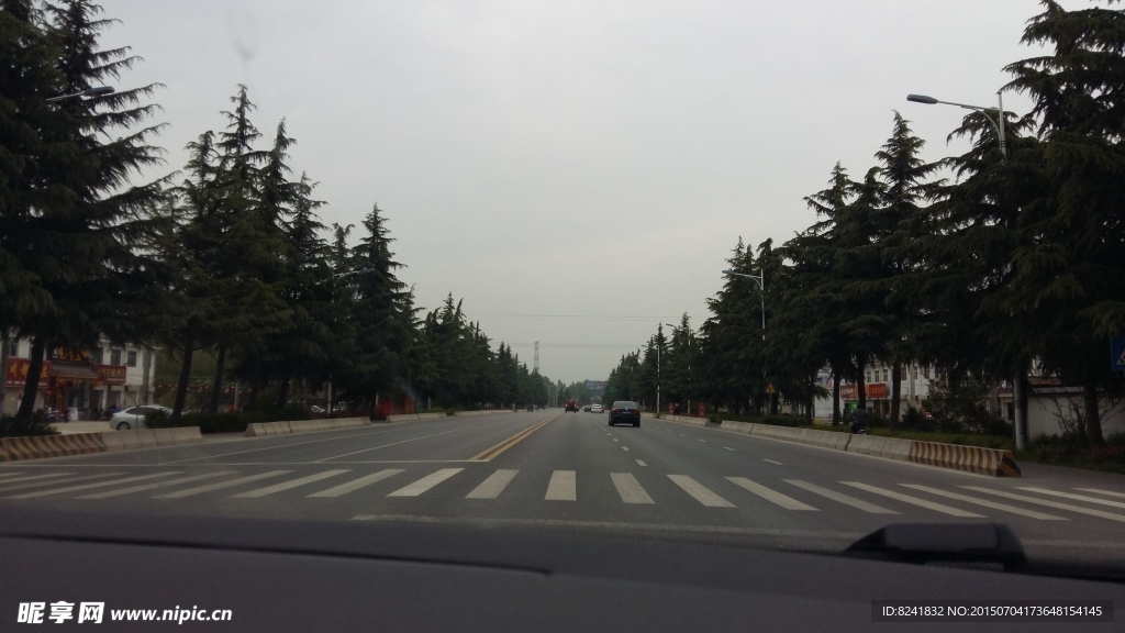 公路和樹