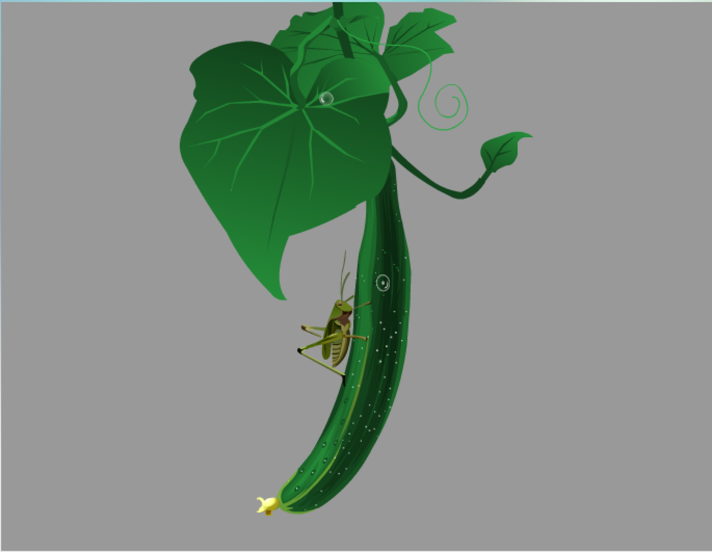 綠色的黃瓜flash植物動畫