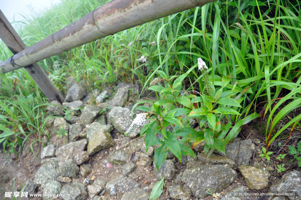 江西武功山道路