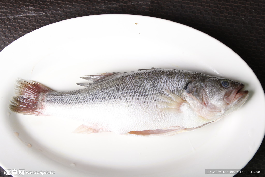 鱸魚