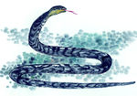 黑白 十二生肖 国画 手绘蛇