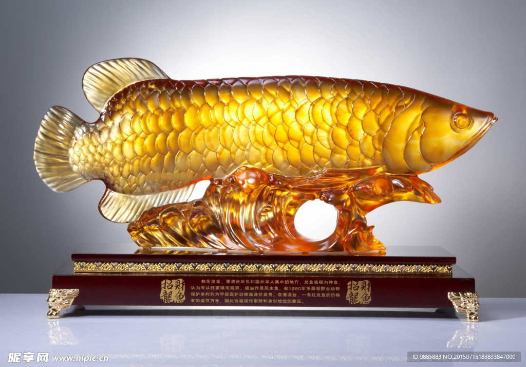 招財龍魚
