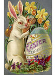 兔子水彩装饰画