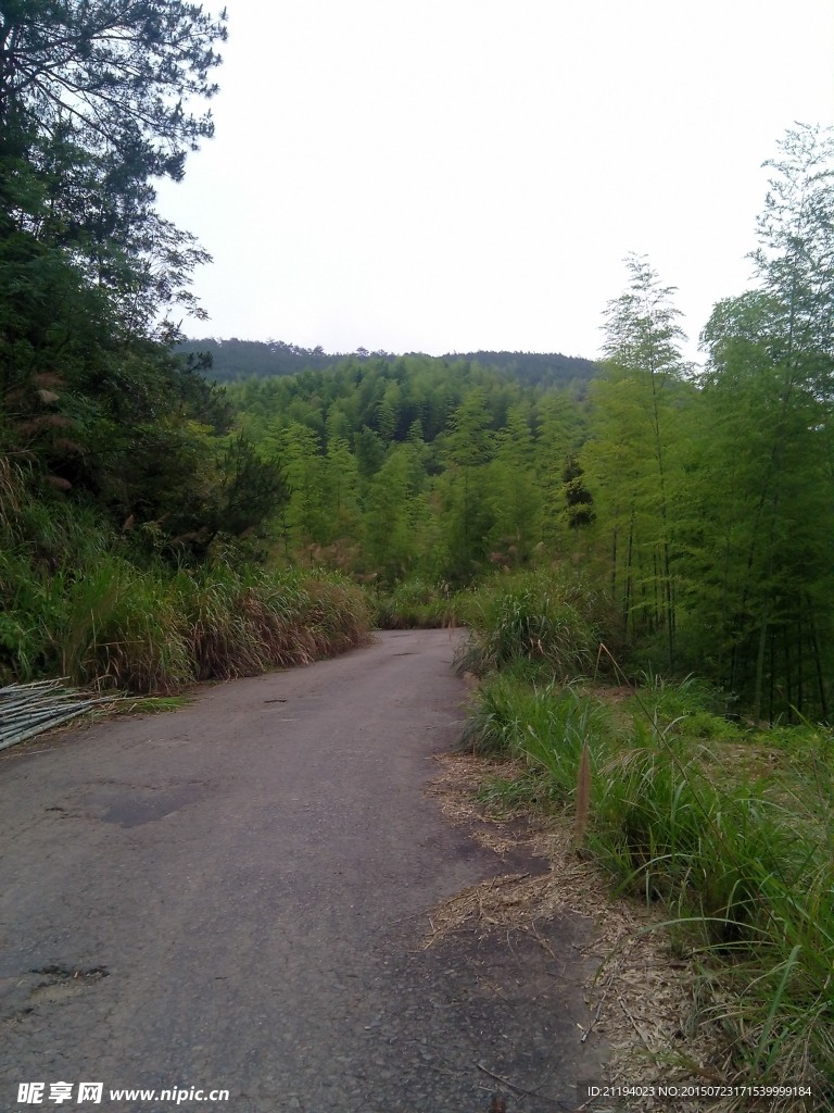 鄉間小路