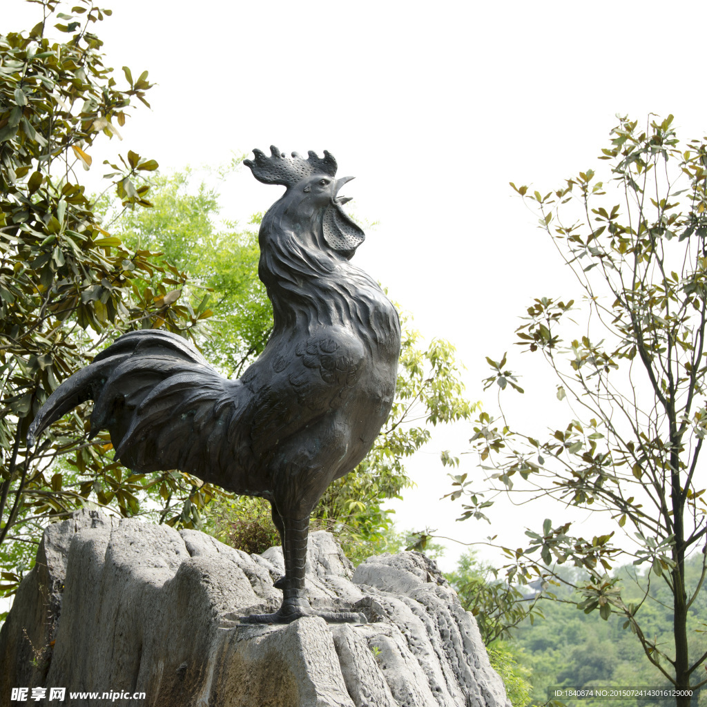 重庆圆博园 大公鸡 提鸣鸡