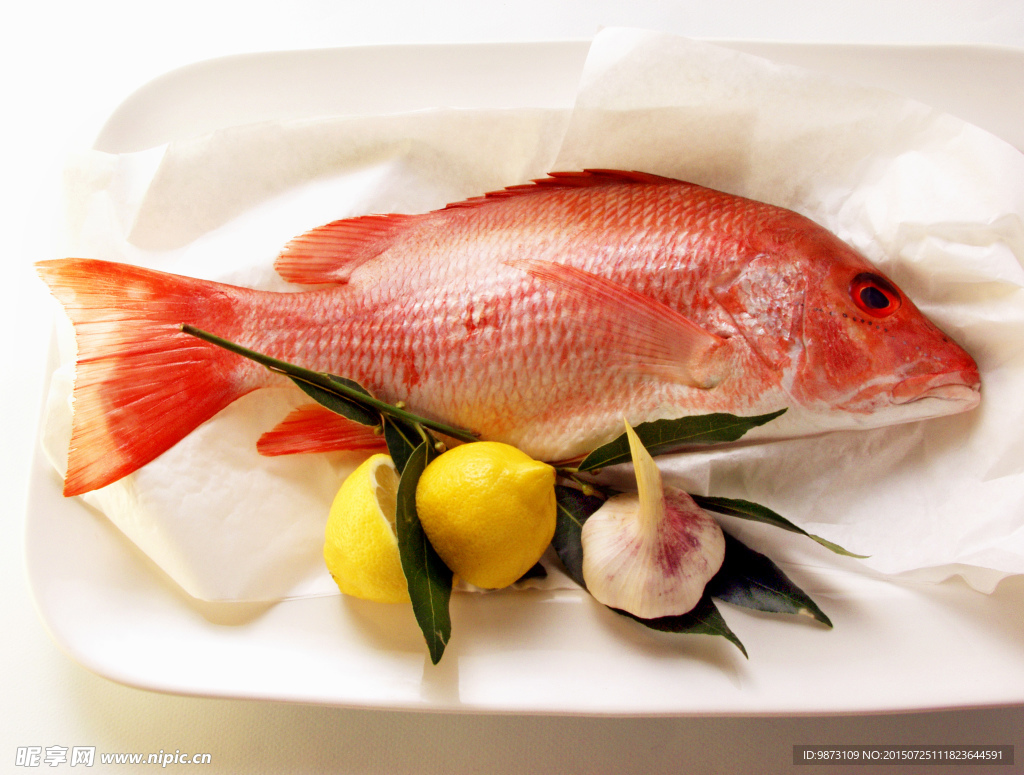 海鮮活魚