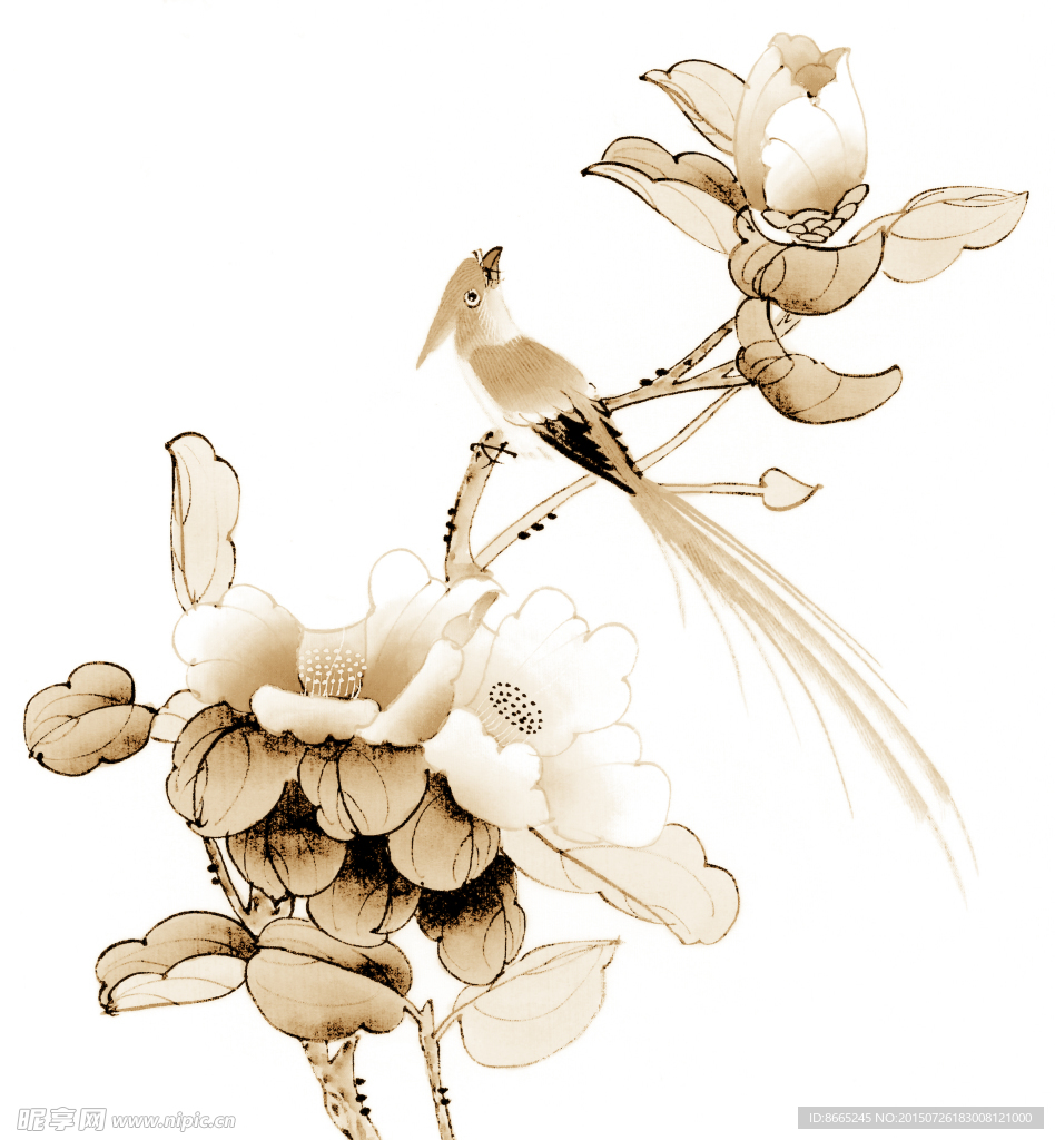 工筆花鳥