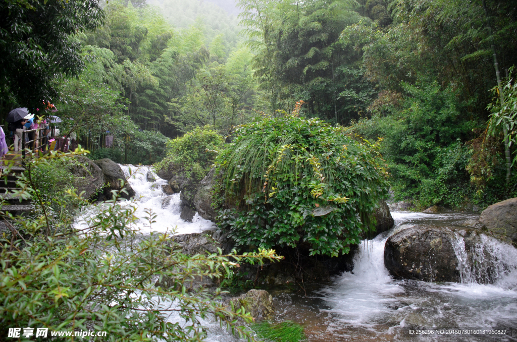 流水 大自然