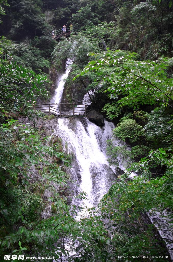 瀑布  風景