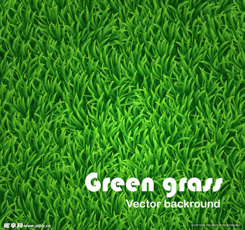 Grass草