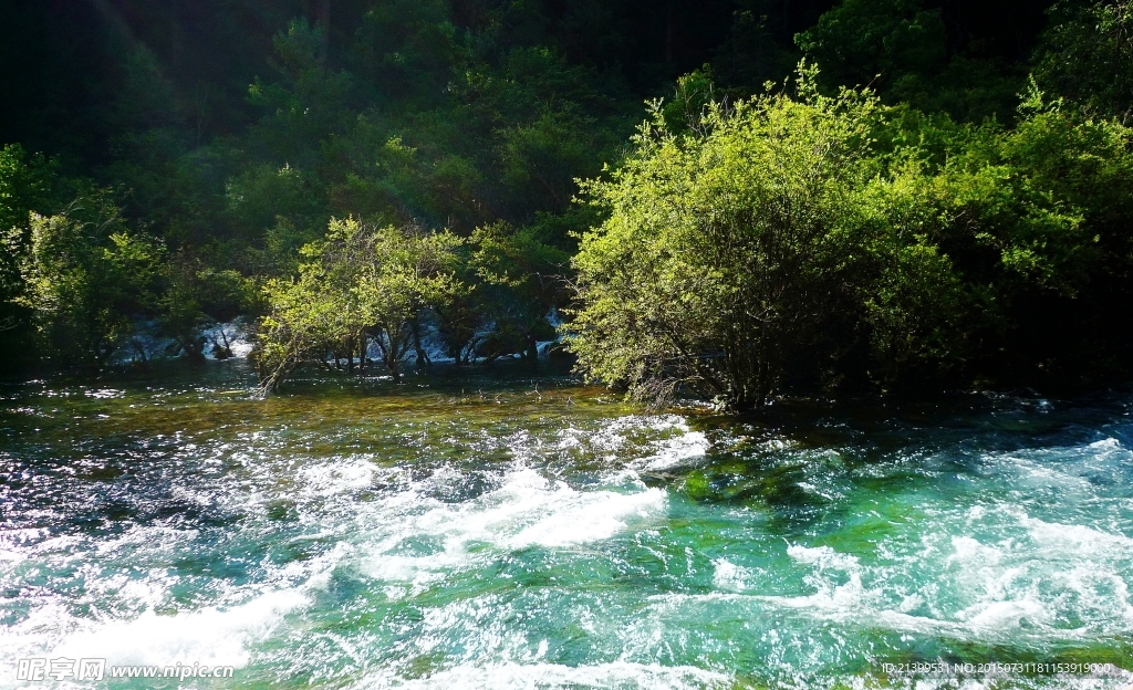 翠樹綠水