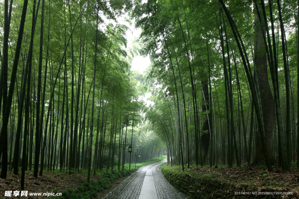 杭州 西湖 旅游 风景