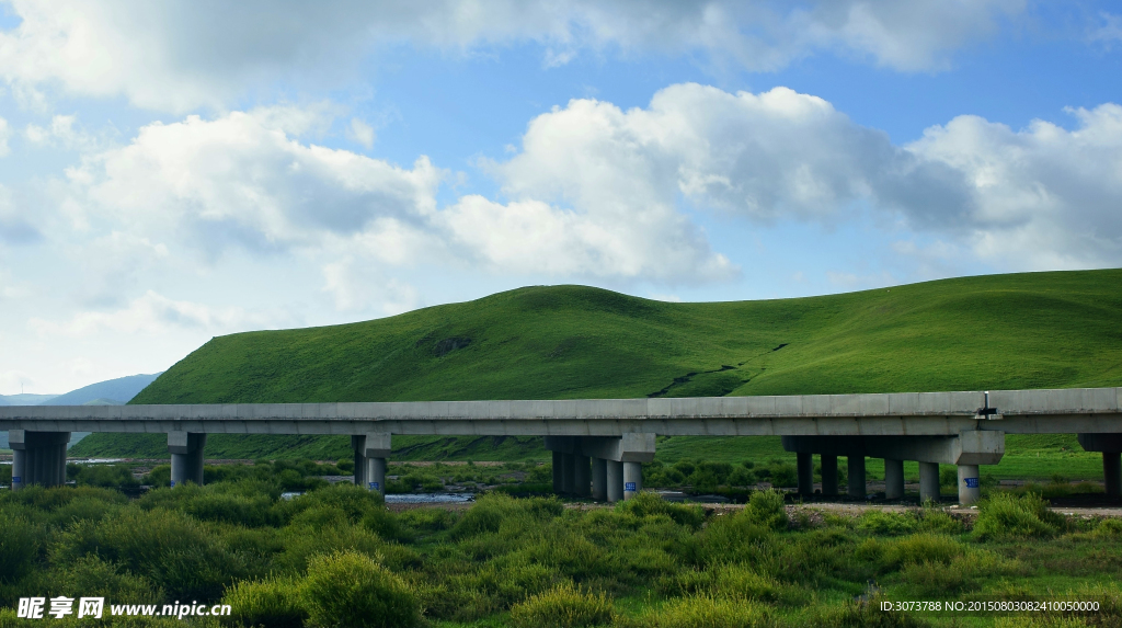草原的橋
