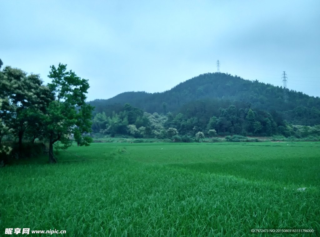 田園風(fēng)光