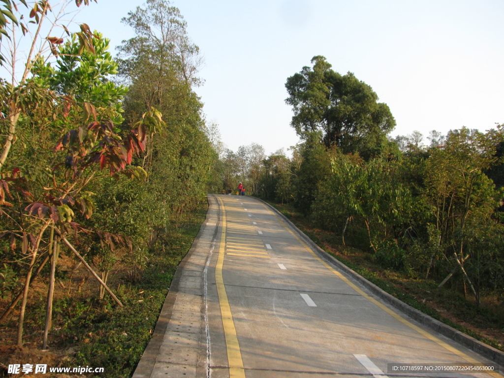 深圳道路