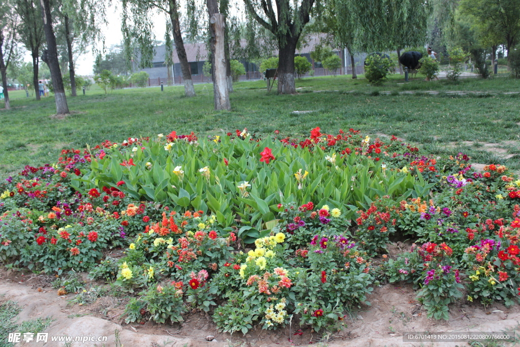 公園花團