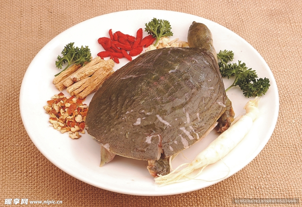 滋補燉甲魚