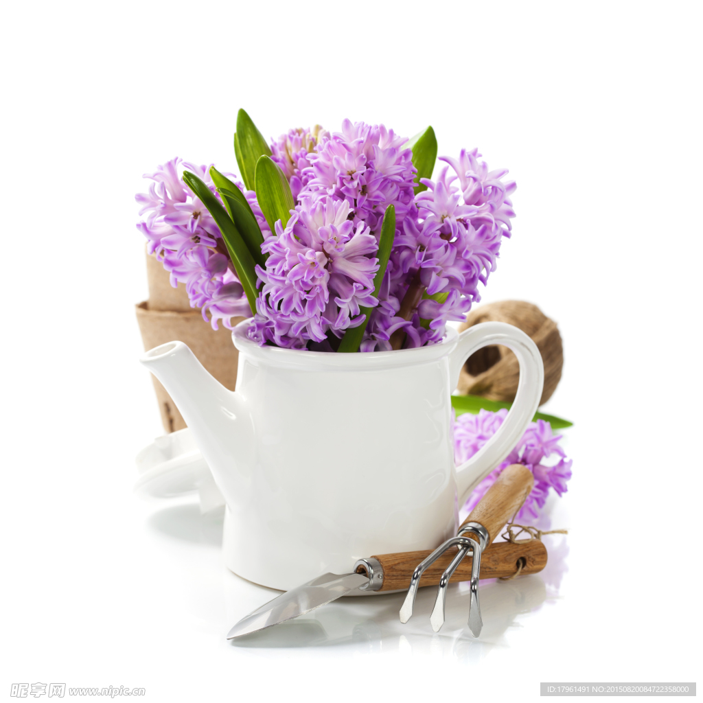 唯美丁香花