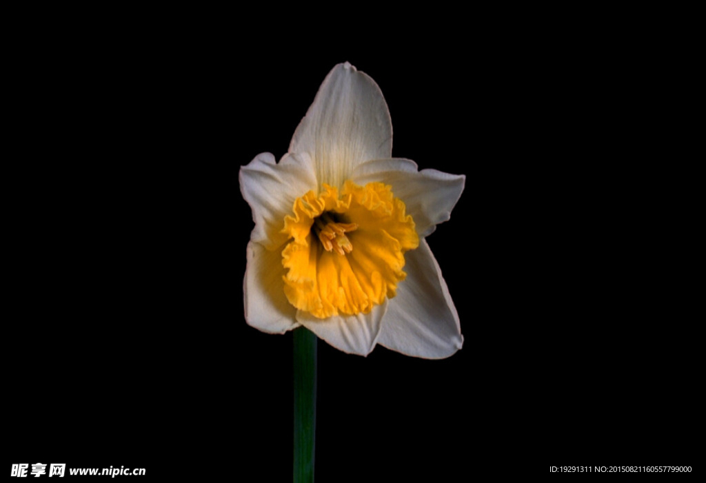 花開視頻