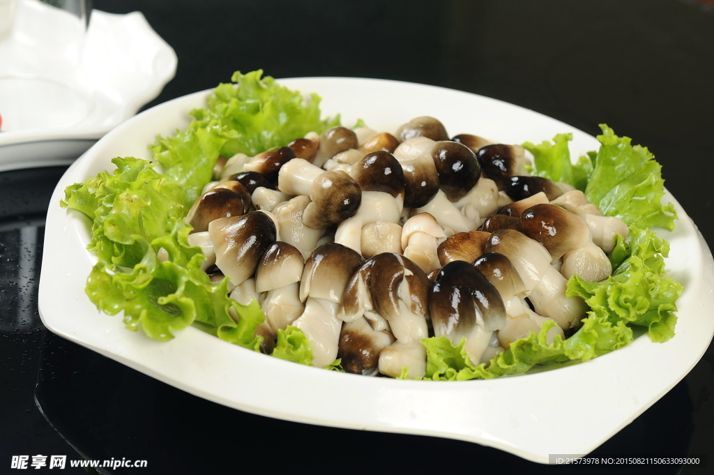 童子菌