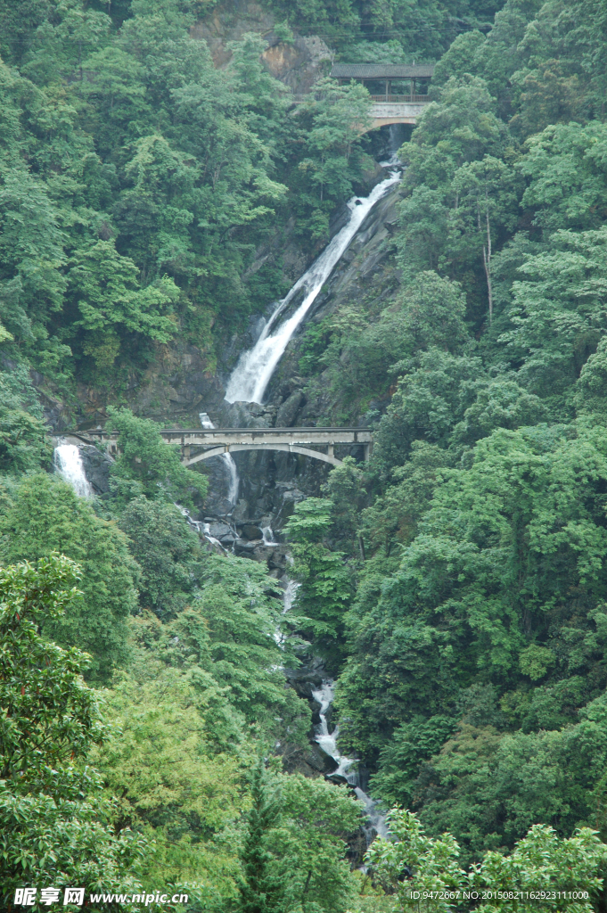 山澗 溪水
