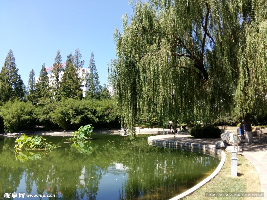 湖景