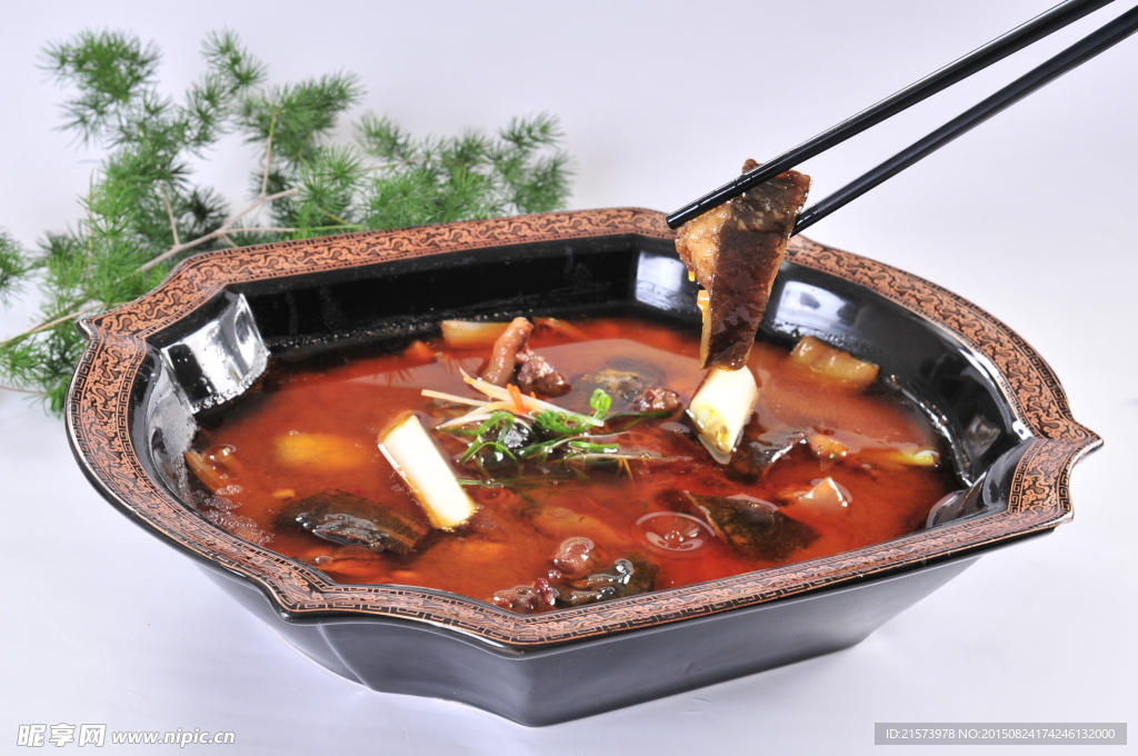 金湯甲魚(yú)