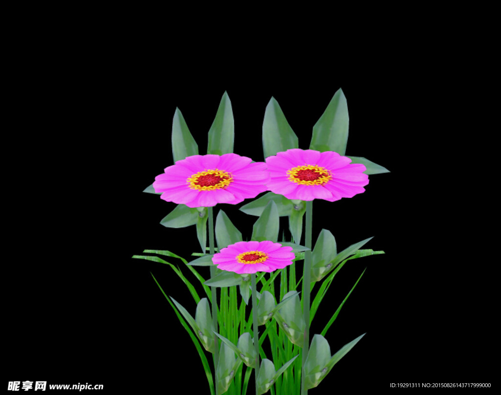 花卉背景視頻
