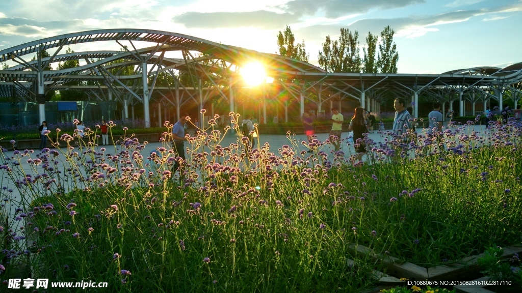 國家森林公園