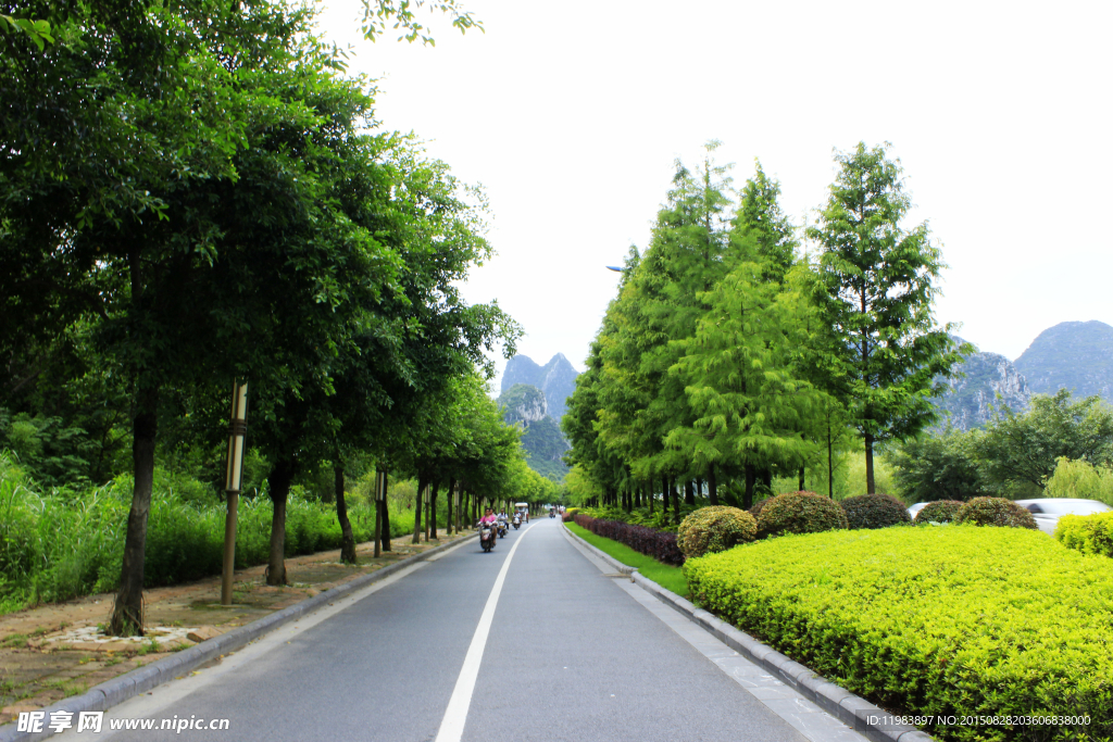 公路绿化带