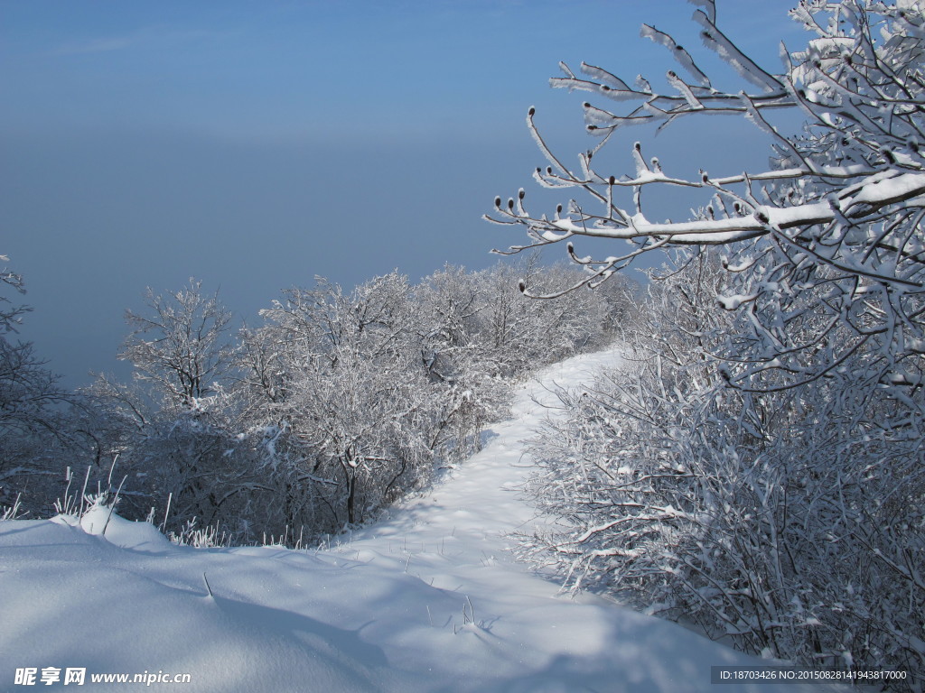 冬天里的雪景