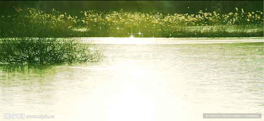 蘆葦湖水動態視頻