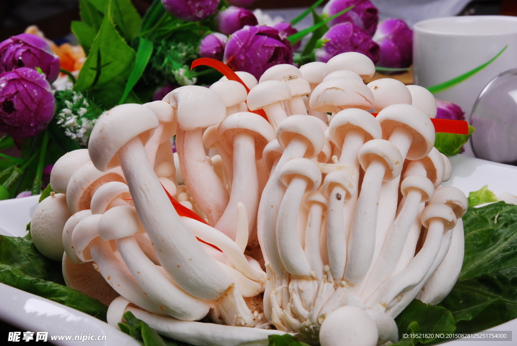 白玉菇