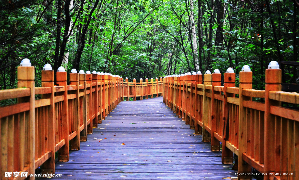 湯旺河森林公園