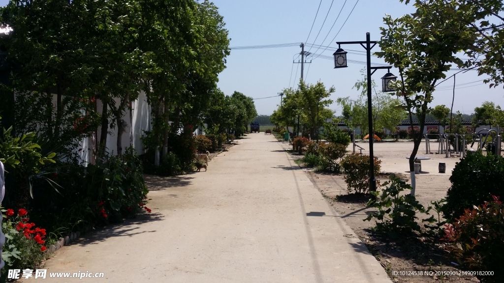農(nóng)村道路