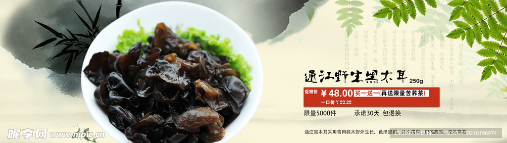 黑木耳bannner設(shè)計