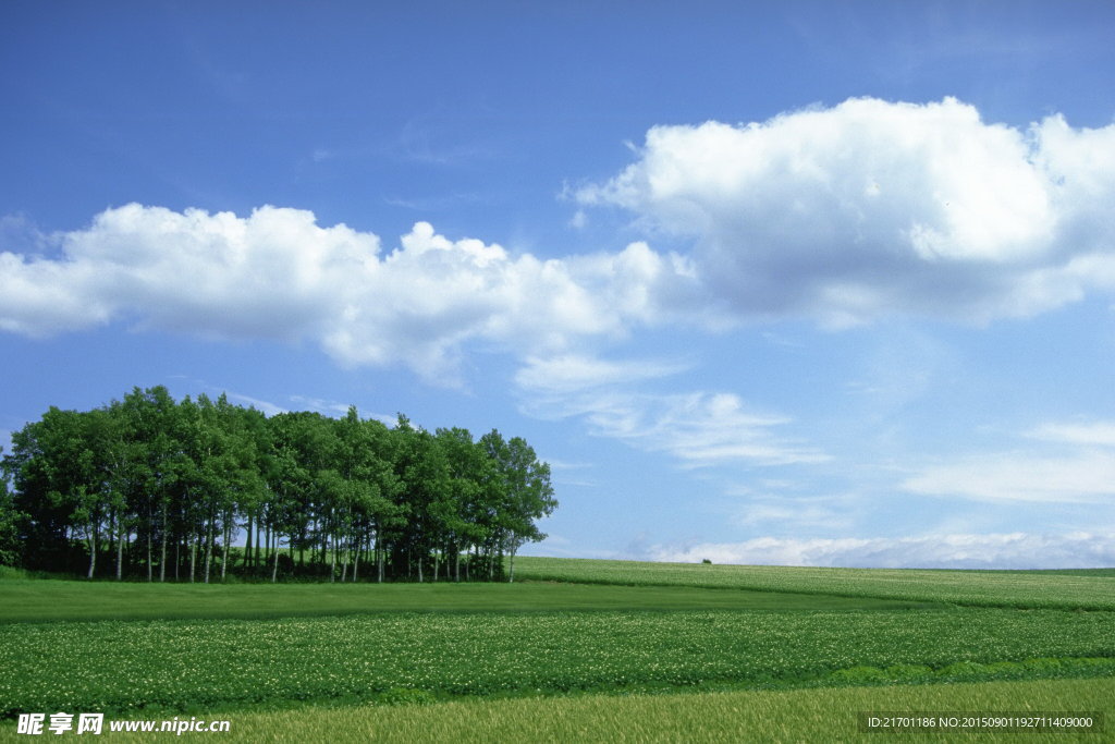 草原天空
