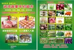 蔬菜特价传单海报