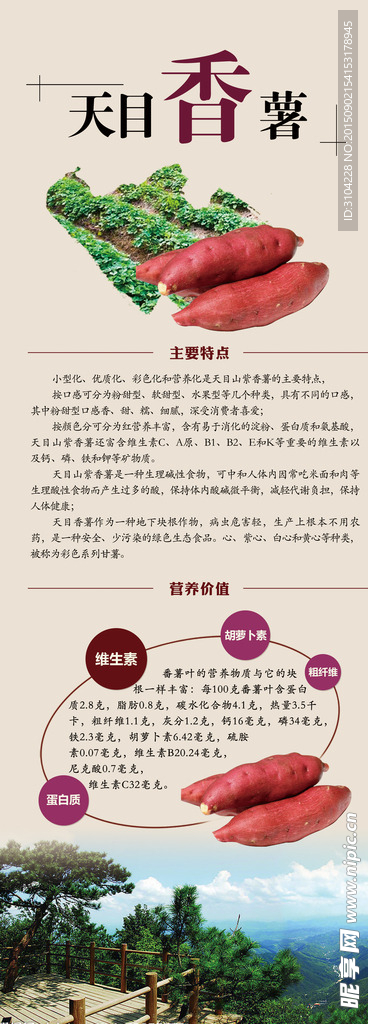 天目香薯
