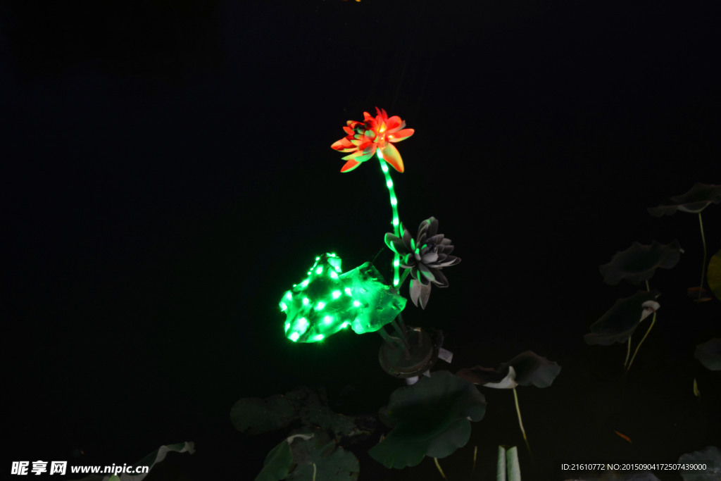 夜光燈荷花
