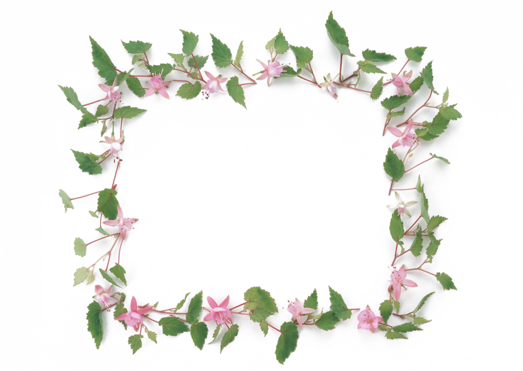 花卉相框